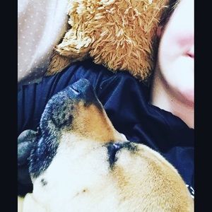 Meet your Posher, Tylar